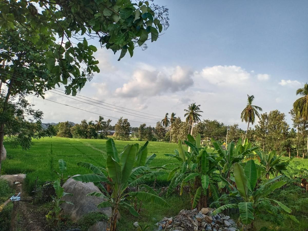 האמפי Gopi Plantation Homestay מראה חיצוני תמונה