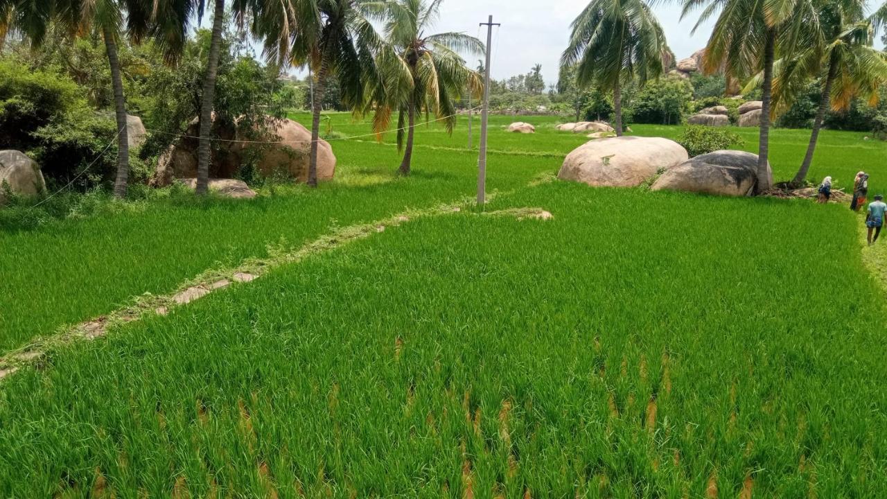 האמפי Gopi Plantation Homestay מראה חיצוני תמונה