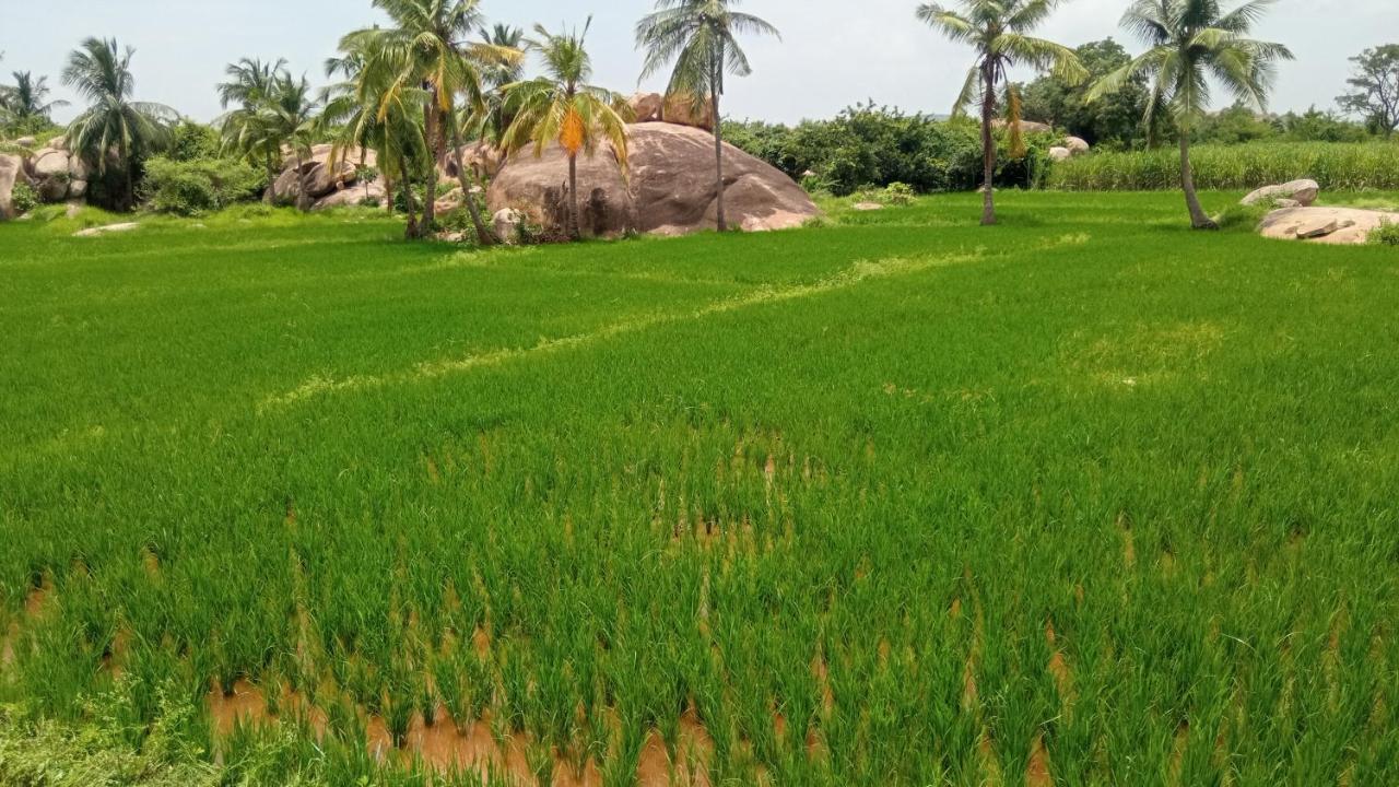 האמפי Gopi Plantation Homestay מראה חיצוני תמונה